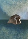 Grønn thumbnail
