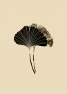 Ginkgo Biloba Blader Sepia thumbnail