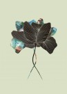 Ginkgo Biloba Blader Mint thumbnail