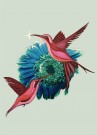 Mint- Mint Blomst thumbnail