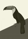 Gråtoner thumbnail