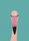Turkis thumbnail