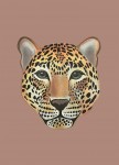 Panthera Pardus