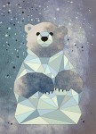 Polarbjørn