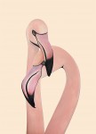 Flamingo Couple