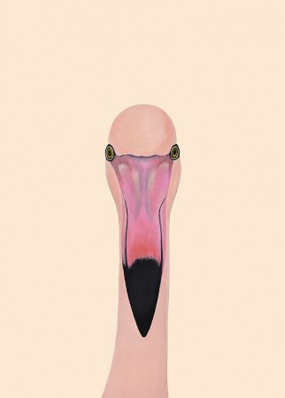 Flamingo Fever