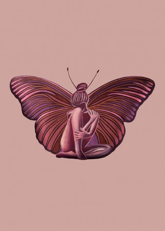 Butterfly Effect