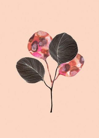 Ginkgo Biloba Blader Rosa