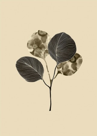 Ginkgo Biloba Blader Sepia