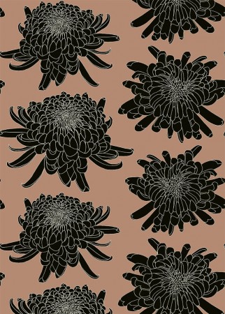 Japanese Chrysanthemum
