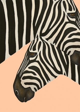 Zebra Beyond