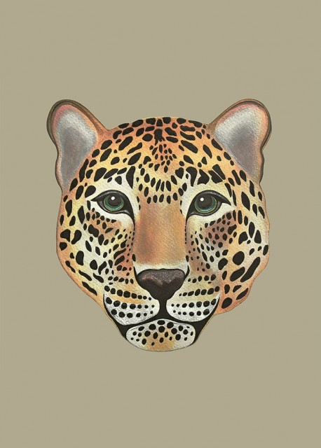 Kaki