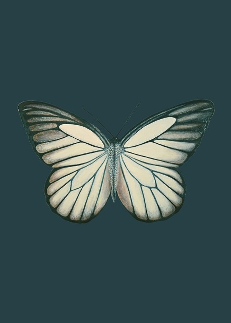 Petrol