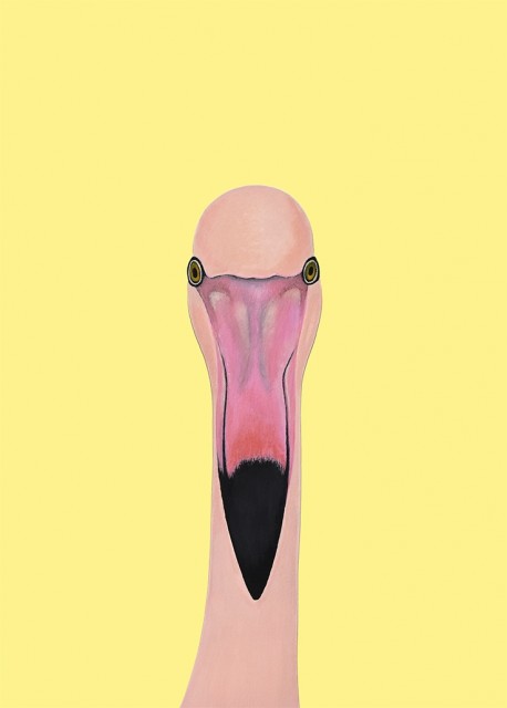 Gul